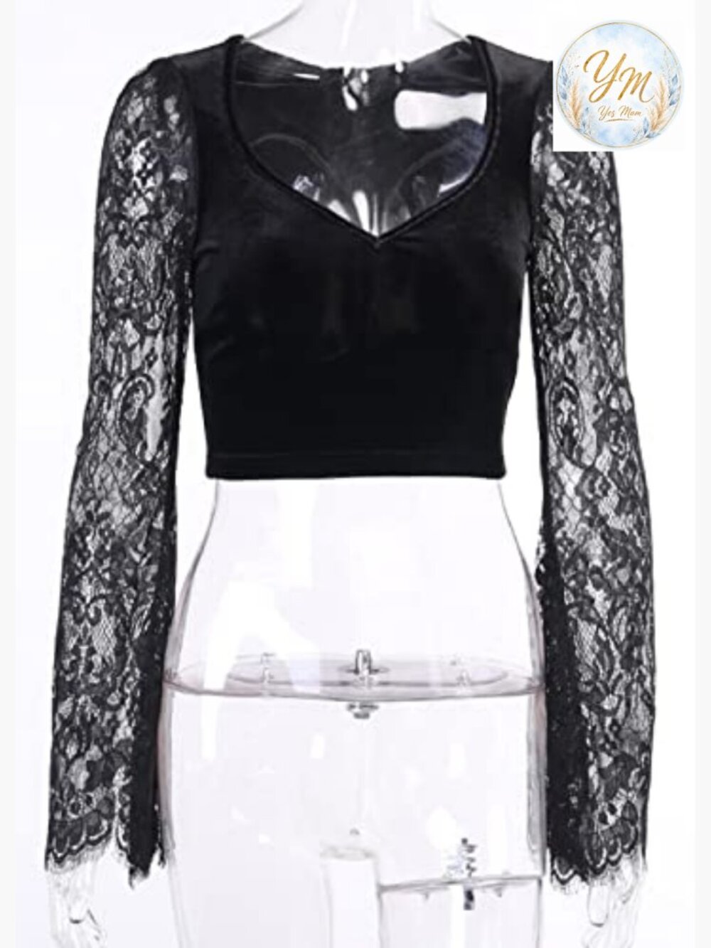 Gothic Crop Top with Velvet and Lace Long Sleeve V-Neck Top - Picture 6 of 7